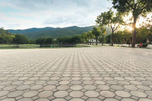 Best Driveway Paving Contractor  in Fuquay Varina, NC